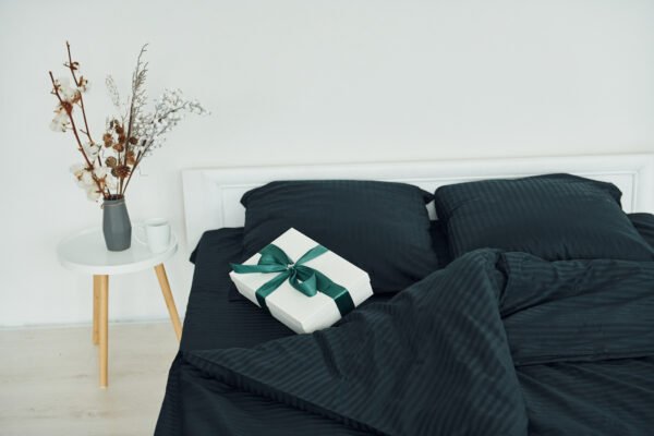 Premium Egyptian Cotton Comforters